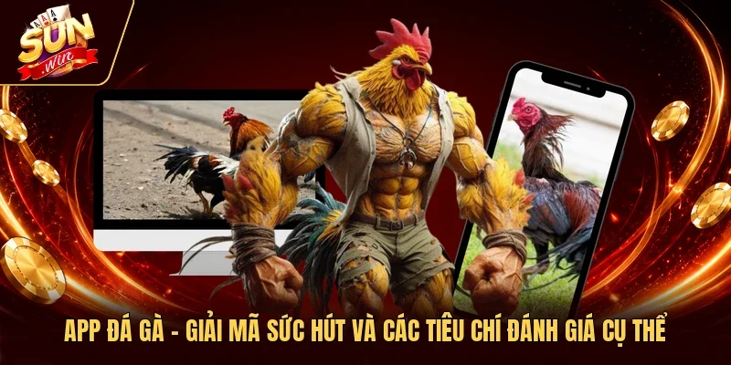 App Đá Gà - Giải Mã Sức Hút Và Các Tiêu Chí Đánh Giá Cụ Thể