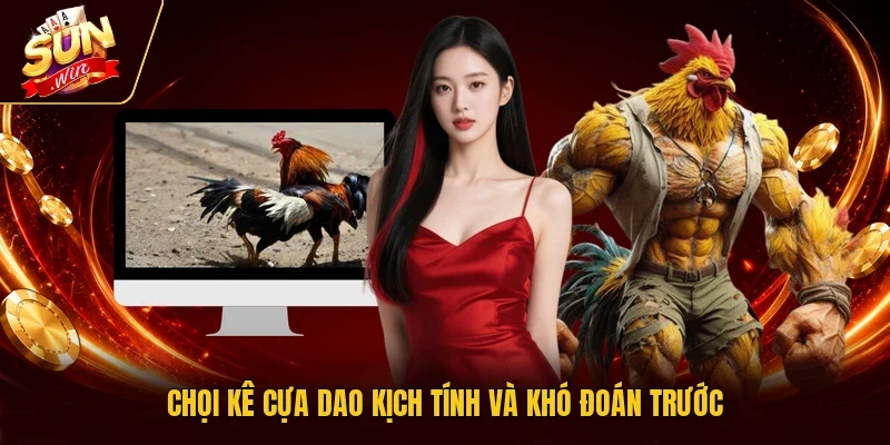 Chọi kê cựa dao kịch tính và khó đoán trước
