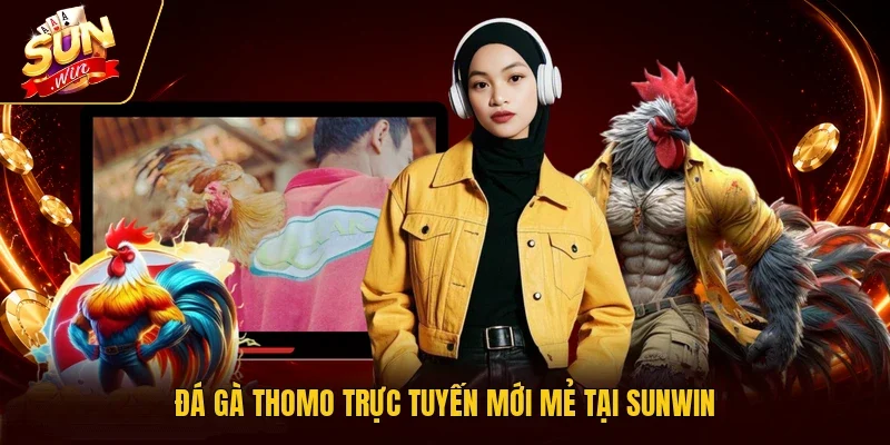 Đá gà Thomo trực tuyến mới mẻ tại Sunwin