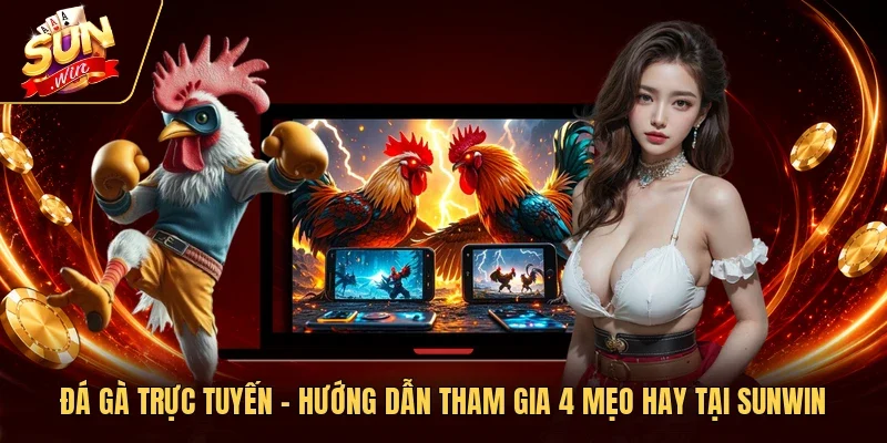 Đá Gà Trực Tuyến – 3 Hình Thức Hot & Cách Chơi Tại Sunwin