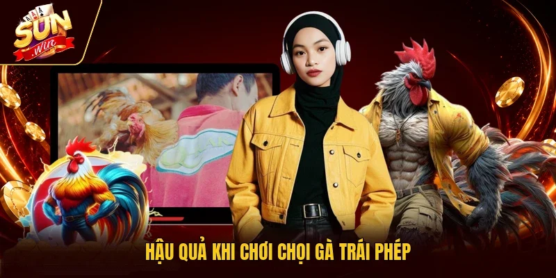 Hậu quả khi chơi chọi gà trái phép