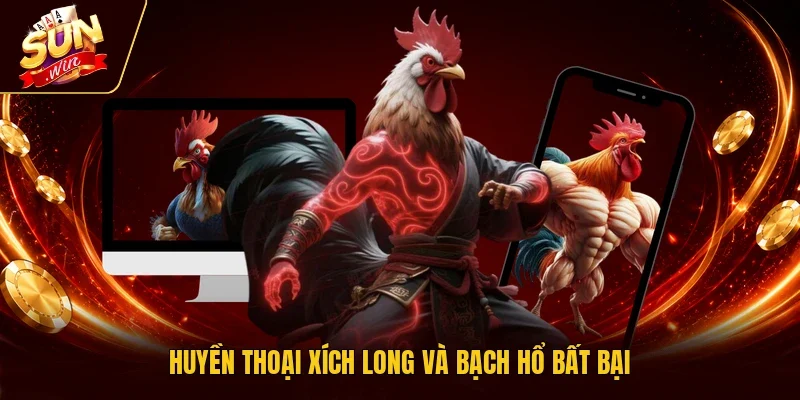 Huyền thoại Xích Long và Bạch Hổ bất bại