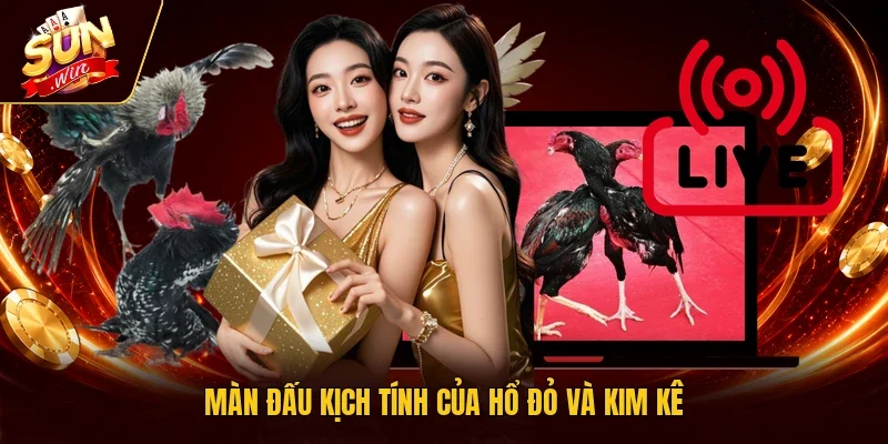 Màn đấu kịch tính của Hổ Đỏ và Kim Kê